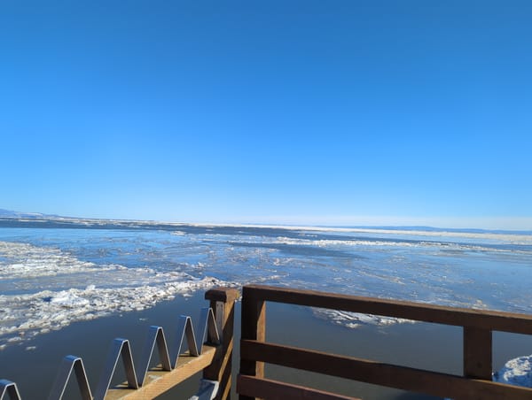 My Outreachy Internship Experience